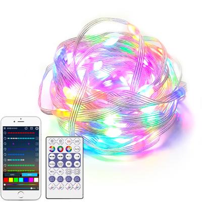 China LANDSCAPE Christmas Decoration Multi Color Copper Wire Light Strings Outdoor Waterproof Led String for sale