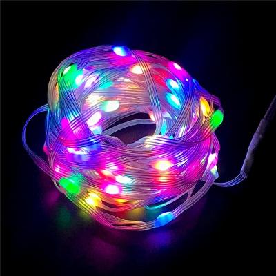 China LANDSCAPE Waterproof Christmas Garland Light New Year Decoration Lights Outdoor RGB String Led Lights for sale