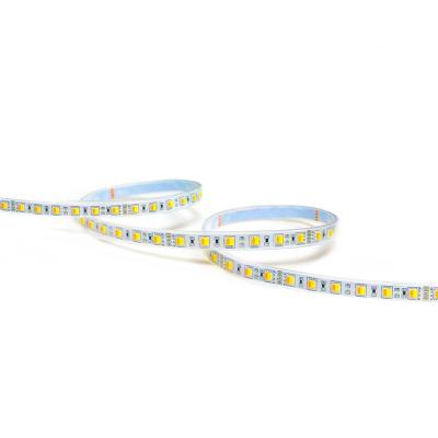 China Theme Park 2 IN 1 Dual 5050 White COLOR Ra90 TDC Led Strip 24V LED Adjustable White Strip Light for sale