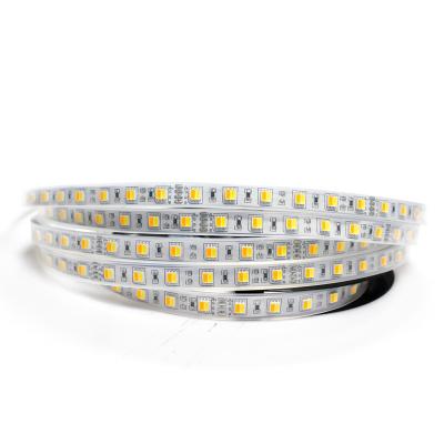 China 2IN1 Theme Park Color SMD5050 LED Dual Light 60LED/M, TDC 2800 To 6500K Dual White Waterproof Led Strip for sale