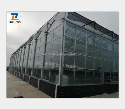 China Large Automatic Intelligent Agricultural Fruit Vegetable Flowers Glass Greenhouse With Soilless Cultivation Hydroponic Drip Irrigation System. for sale