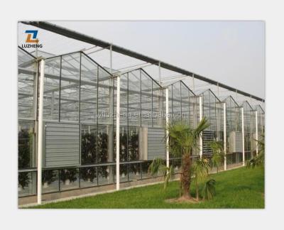 China Hot Galvanized Steel Frame Vegetable Fruit Flowers PC Sheet Hydroponic Greenhouse For Strawberry/Vegetable for sale