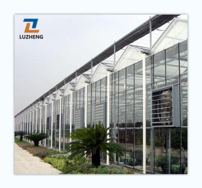 China Single Span Tomato Lettuce Plant Polycarbonate Sheet Greenhouse Vegetable Commercial Fruit Flower Plant Span With Hydroponic Growing System For Sale for sale