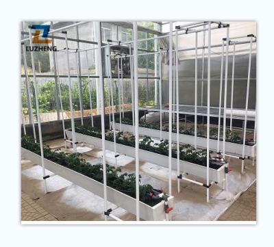 China Multi-span Veg Tunnel Type Fruit Flowers Greenhouse PO PE Plastic Sheet Greenhouse With Hydroponics System For Vegetable/Flower/Fruit for sale