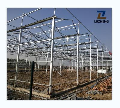 China Fruits Vegetable Flowers Agricultural Plants Tunnel Strawberry Systems Hydroponic Growing Strawberry Glass Greenhouse for sale