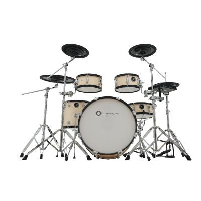 China Deluxe Electronic Citrus Drum E Drum T950 Drum Set for sale