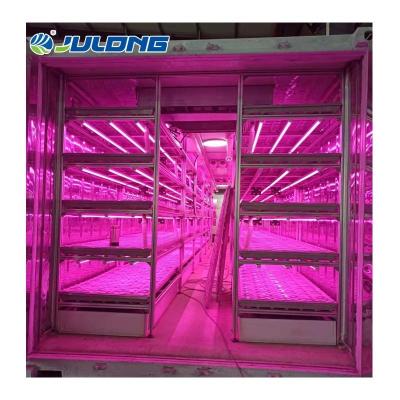 China China Container Factory Smart Climate Control System Hydroponic Farm Vertical Agricultural Plant for sale