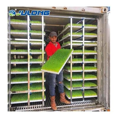 China Steel Plate Container Farm Greenhouse Hydroponic Growing Grass Barely Feed Greenhouse For Livestock Sheep for sale