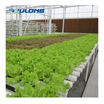 China Easy assemly luxury agricultural venlo multi-span simple structure vegetable and flower garden glass greenhouse with hydroponic NFT for sale