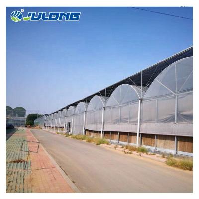 China Easy assemly commercial Multi-span plastic sheet tunnel hydroponics tomatoes greenhouse for sale for sale