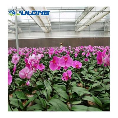 China Simple structure and assemly easy garden greenhouse growing for flowers mounted orchid for sale