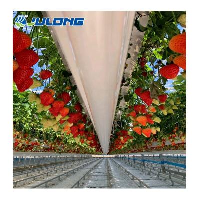 China Agricultural Multi Span Hydroponics Film Growing Strawberry Tomato Hot Cost Performance Greenhouses For Sale for sale