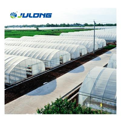 China Hot Dipped Galvanized Agricultural Vegetable Poly Single-Span Simple Structure And Economic Easy assemly Tunnel Green House for sale