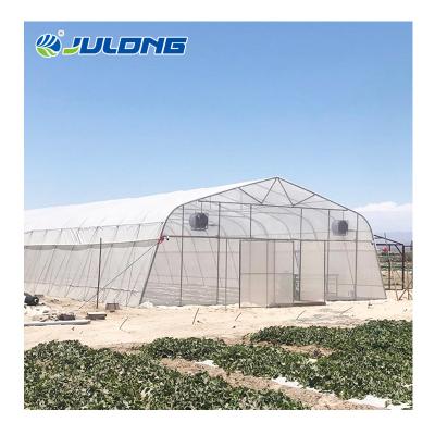 China Simple structure and easy assemly plastic film tunnel greenhouse for strawberry cucumber tomato pepper for sale