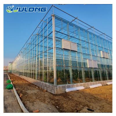 China Eco-friendly Venlo Agricultural Greenhouses Glass Multi-span Greenhouse System Hydroponic Growing Vertical Growing For Sale for sale