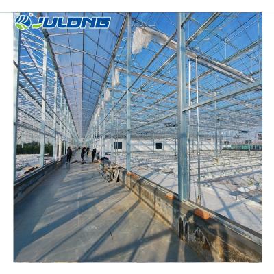 China Simple structure and easy shutdown smart assemly smart greenhouse one greenhouse project glass fabrication for sale