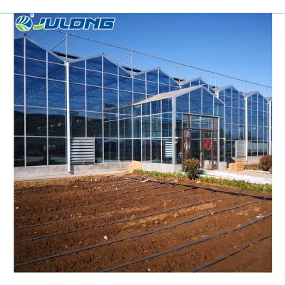 China Stable Glass Structure Smart Venlo Greenhouse Multi-Span Greenhouses Automated Temperature Control System for sale