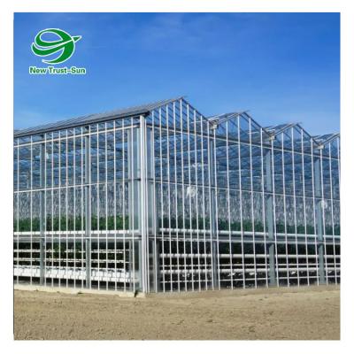 China Simple structure and easy agricultural equipment assemly smart commercial galvanized steel frame venlo large multi-span glass greenhouse price for sale