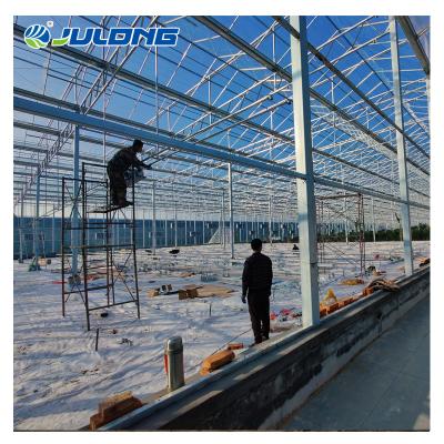 China Simple structure and easy assemly Polycarbonate PC Sheet Greenhouse Agricultural Equipment Hydroponic Multi-span Growing Systems for sale