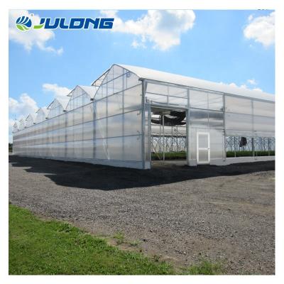 China High efficiency and energy saving Commercial Multi Span Polycarbonate Greenhouse Solar Hydroponics Vegetable Greenhouses factory price for sale