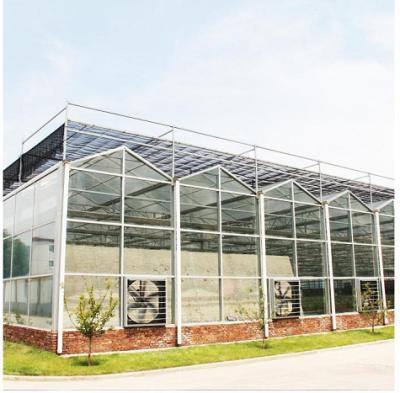 China Simple structure and easy assemly commercial multi-span venlo PC sheet polycarbonate garden flower container greenhouse for sale