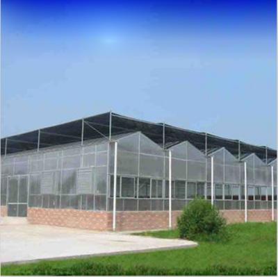 China NC Green Multi-span Multi-span Polycarbonate Easy Tomato Hydroponic Growing Systems Venlo Simple Structure Greenhouses Hydroponic PC Sheet; NHS for sale