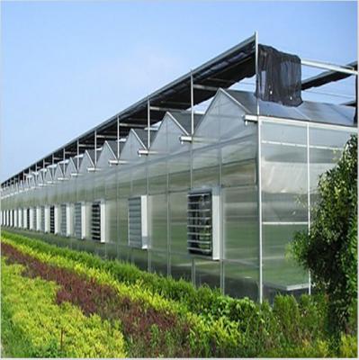 China Simple structure and easy assemly sell polycarbonate panel greenhouse with hydroponic NFT and DWC grow system for sale