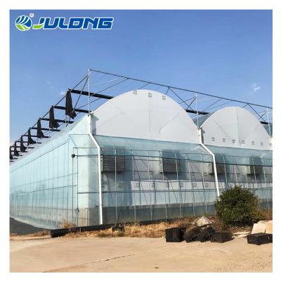 China Simple structure and multi-span pe plastic sheet flower vegetable agricultural commercial greenhouse easy low cost assemly for sale