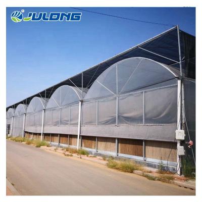 China Hot Cost Performance Agricultural Multispan Plastic Film Tunnel Greenhouse Construction With Irrigation And Cooling System for sale