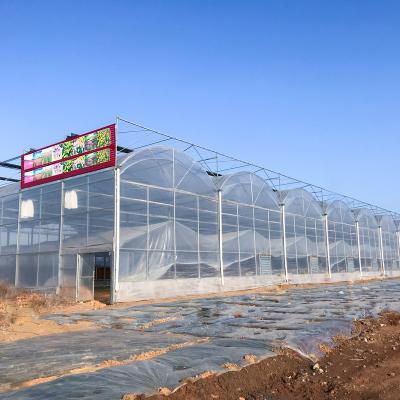 China Simple structure and easy double layer double arch film winter assemly inflatable greenhouse for sale for sale