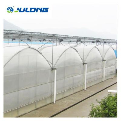 China Simple structure and assemly easy professional used vertical farming grow equipment hydroponics film greenhouse for sale for sale