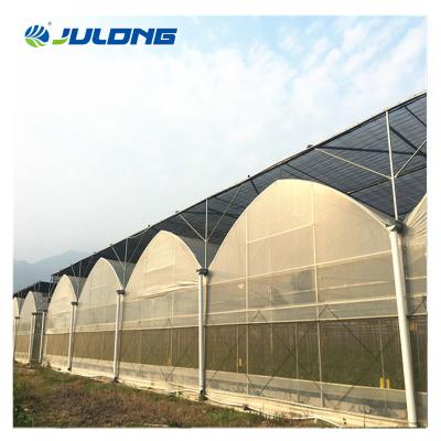 China Simple structure and easy agriculture assemly large size hi-tech productive multi span arched film greenhouse for vegetables for sale