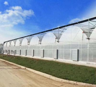 China Easy assemly new agricultural technology simple structure and multi span film greenhouse for tomato, pepper, cucumber, eggplant, strawberries for sale