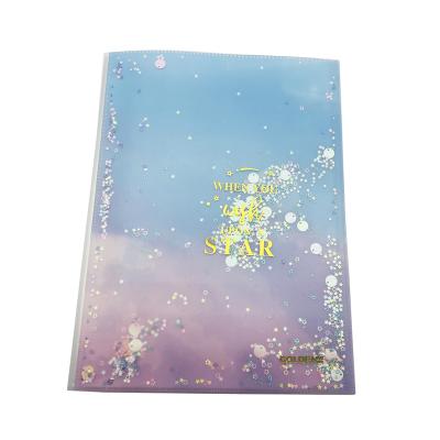 China Durable Custom Clear Folder Document Folder Plastic Conference Book Display Folder for sale