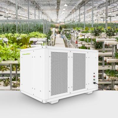 China Indoor Hotels Commercial 500 ppd Grow Room Planting Ceiling Dehumidifier For Greenhouse for sale