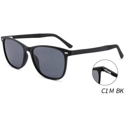 China Unique Design Plastic Unisex PC Fashion Adult Sunglasses Plastic Sunglasses for sale