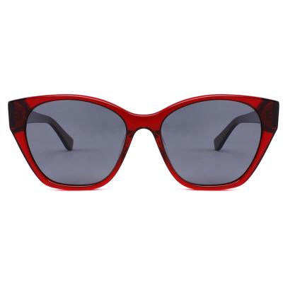 China FG1227 High Standard Acetate Sunglasses Hot Selling Printed Logo Sunglasses for sale