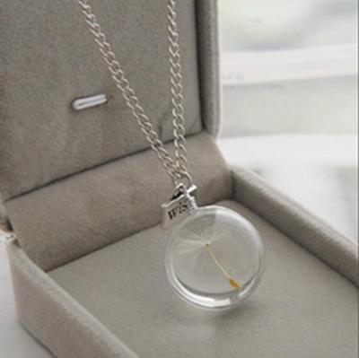 China FASHIONABLE FT-64 Mini Greenhouse Glass Necklace Wholesale Vial Preserved Plant Dandelion Dry Glass Flower Pendant Necklace for sale