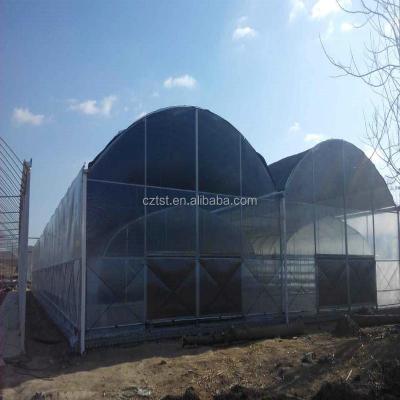 China Greenhouse Premium Price Greenhouse Sun Shade Cloth / Crazy Garden Shade Netting / Agriculture Sun Shade Net for sale