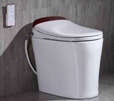 China Bidets Factory Directly Manufacturer Electronic Toilet WC Price for sale