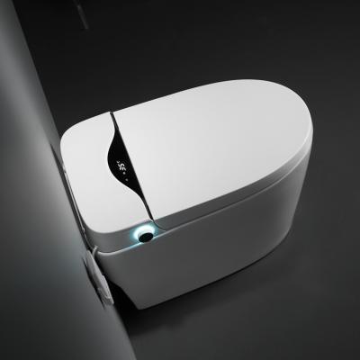 China New Automatic Operation Super Flush Fit Toilet with Bidet for sale