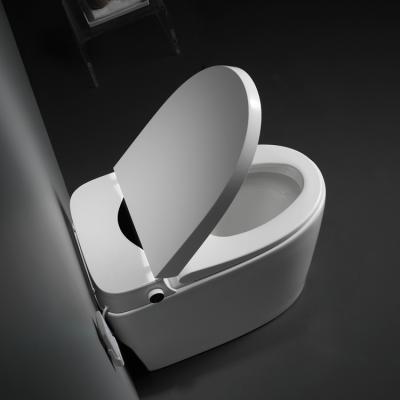 China Automatic Operation Water Tank Smart Smart Bathroom Downhill Luxury Toilet for sale