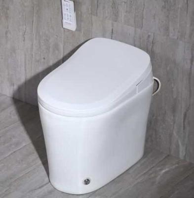 China Chinese Electronic Bidets Women WC Bathroom Toilets For Sale for sale