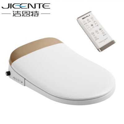 China Fashion Electronic Economic Intelligent Toilet Seat Electric Bidet for sale