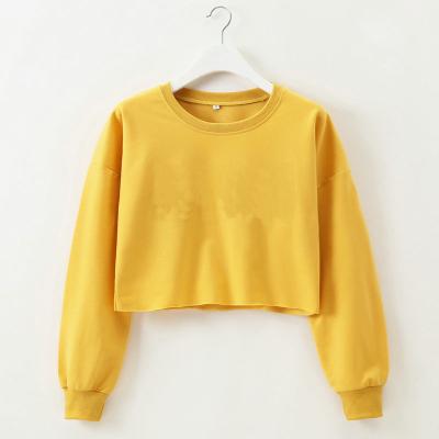 China Autumn fashionable fancy cropped long sleeve Anti-wrinkle sweaters women's news sweaters without hoodies for sale