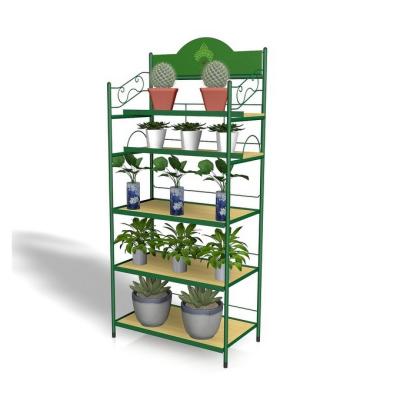 China METAL Decoration Window Stand Shelf Flower Display Freezer Flower Display Freezer for sale