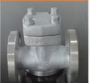 China Cryogenic Lift Check Valve for sale