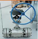 China Cryogenic Trunnion Mounted Ball Valve (Side Entry) for sale