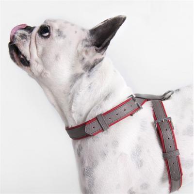 China JEWELED Dog Harness Collars Leash No Pull Pet Clip Adjustable Back Halter Base Collar for sale