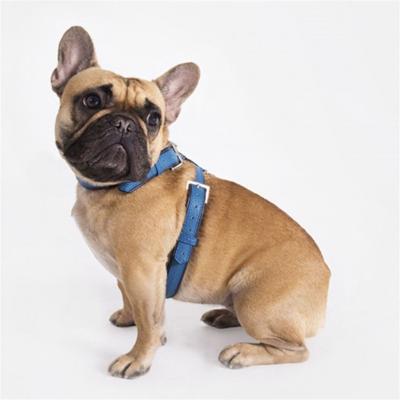 China Front Dog Harness No Pull Soft JEWELED Harness For Pugs for sale